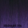 Midnight Iris
