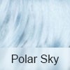 Polar Sky